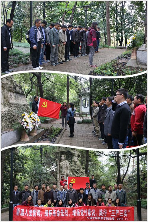 拼图党员活动x.jpg